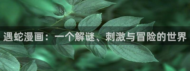 耽漫网：遇蛇漫画：一个解谜、刺激与冒险的世界