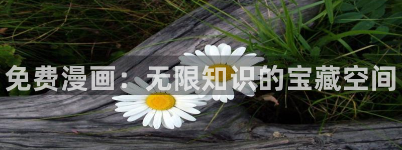 耽漫网下载：免费漫画：无限知识的宝藏空间