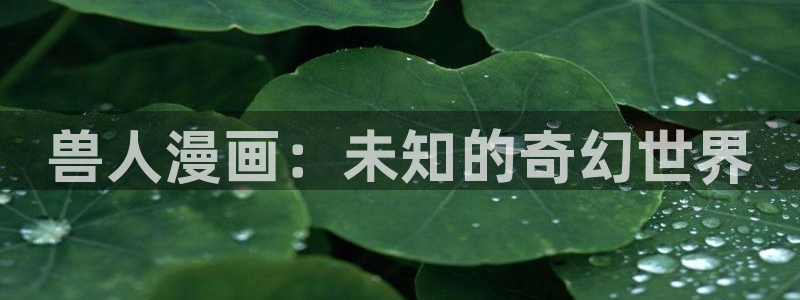 耽漫网之家动漫之家：兽人漫画：未知的奇幻世界